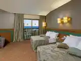 Семейный номер Стандарт с балконом и с красивым видом из окна