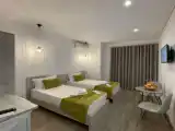 Номер Deluxe с балконом и с красивым видом из окна