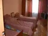 Семейный номер Стандарт с балконом и с красивым видом из окна