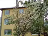 Run of House