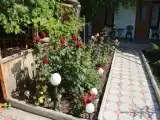 Номер Стандарт