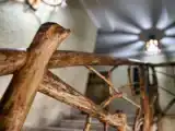 Run of House