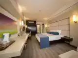 Двухместный номер Deluxe с видом на город