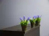 Двухместный номер Стандарт