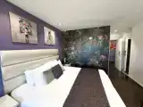 Двухместный номер Deluxe с балконом и с видом на реку