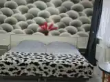 Двухместная студия