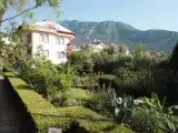 Run of House
