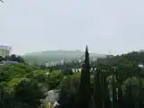 Полулюкс с видом на горы