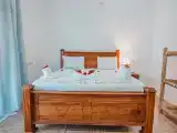 Одноместный номер Deluxe с видом на сад