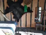 Шаманский с красивым видом из окна