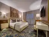 Семейный номер Стандарт с балконом и с красивым видом из окна
