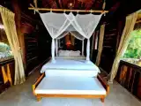 Двухместное бунгало Jungle с видом на сад