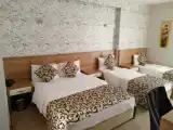 Трёхместный номер Стандарт с видом на город