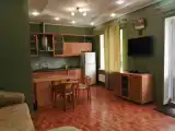 Апартаменты с балконом и с красивым видом из окна