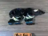 Пятиместный люкс с балконом
