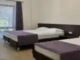 Номер Комфорт с балконом и с панорамным видом