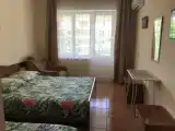Семейный полулюкс с красивым видом из окна