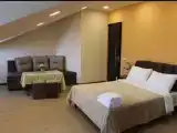Двухместный номер Deluxe с видом на город