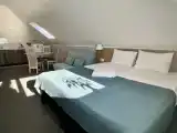 Двухместная студия Мансарда с красивым видом из окна
