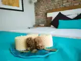 Номер Deluxe с видом на море