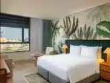 Двухместный номер Plaza View с доступом в парк Deluxe