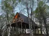 Дом №10 Высотный Дом А-фрейм