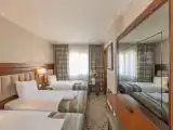 Трёхместный номер Deluxe