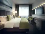 Двухместный люкс Business с красивым видом из окна