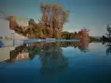 Run of House
