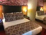 Двухместный номер Бюджетный