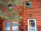 Коттедж с красивым видом из окна