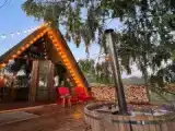 Дом №1 Увеличенное Шале с камином