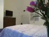 Двухместный номер Стандарт с видом на сад