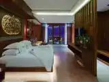 Двухместный люкс Premier с балконом и с видом на город