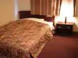 Одноместный номер Эконом