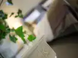 Семейный номер Стандарт