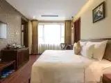 Номер Deluxe с видом на город