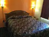 Одноместный люкс