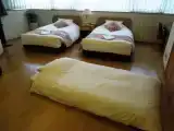 Номер Premier
