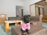 Коттедж