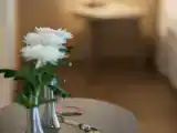 Двухместный люкс Superior
