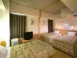 Трёхместный номер Стандарт