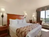 Двухместный номер Deluxe