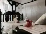 Одноместный номер Стандарт