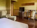 Одноместный номер Стандарт с видом на сад