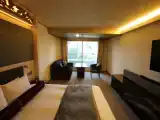 Двухместный номер Deluxe с видом на реку