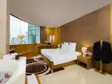 Номер Executive с видом на город