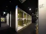 Мужская капсула