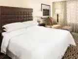 Двухместный клубный номер Стандарт