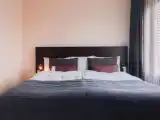 Номер Эконом